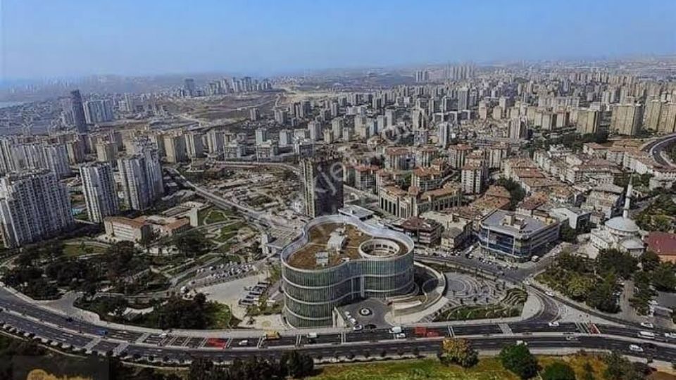 Halkalı Web Tasarım