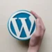 WordPress Uzmanı