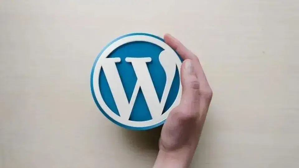 WordPress Uzmanı